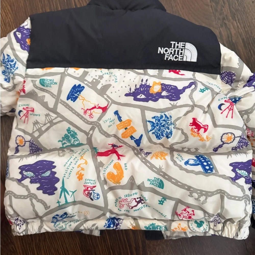 The North Face Kids Puffer Winter Jacket Colorful Print